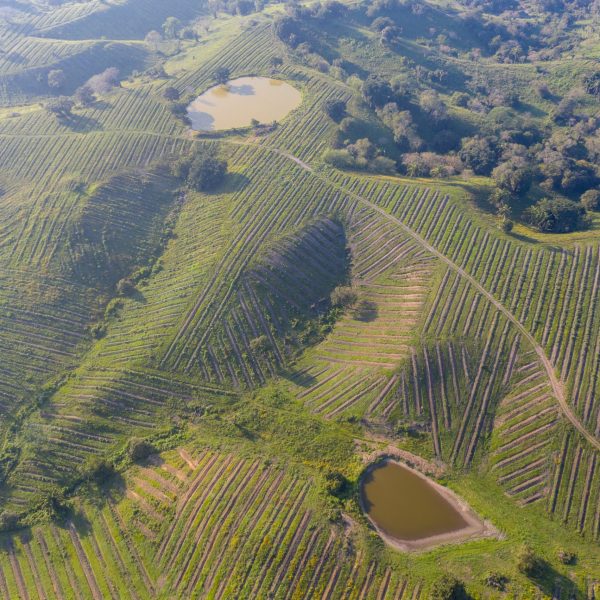 DJI_0276