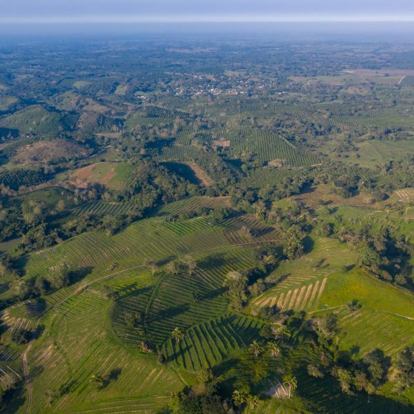 DJI_0283