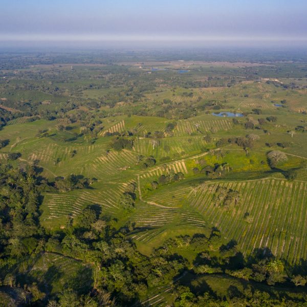 DJI_0292