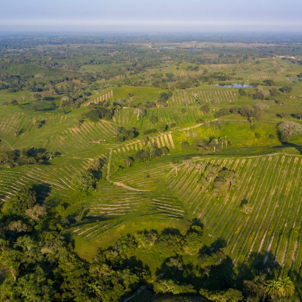 DJI_0294