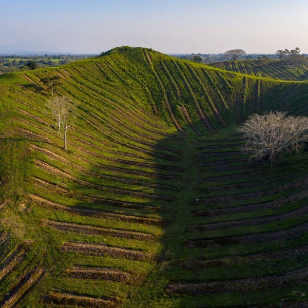DJI_0305