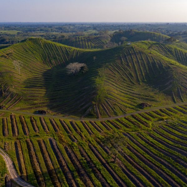 DJI_0308