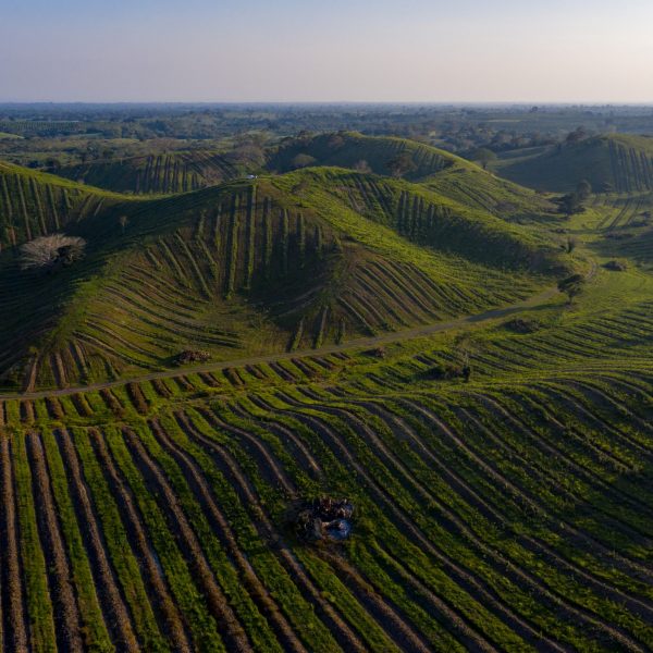 DJI_0311