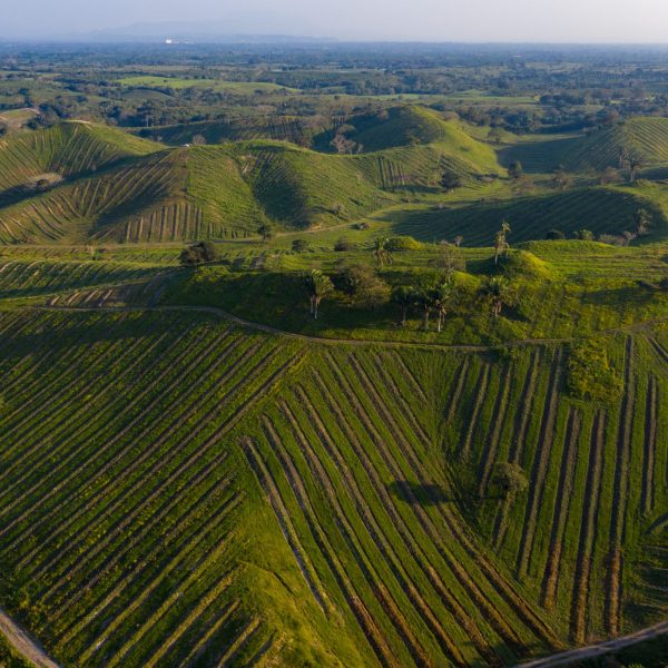 DJI_0316
