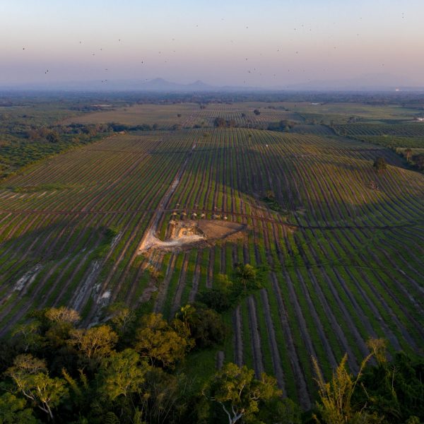 DJI_0338