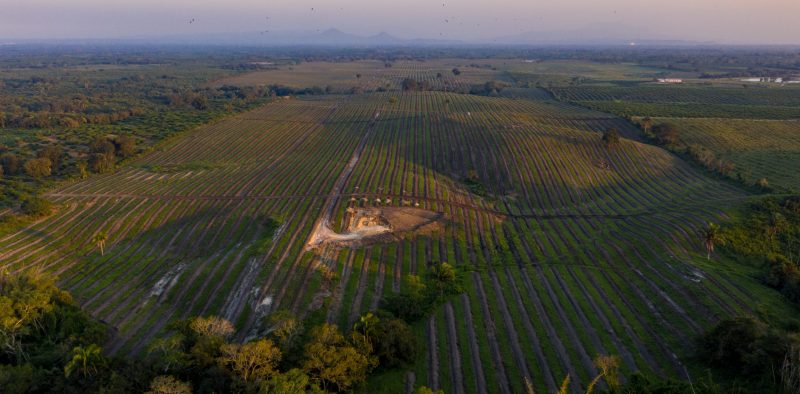 DJI_0338
